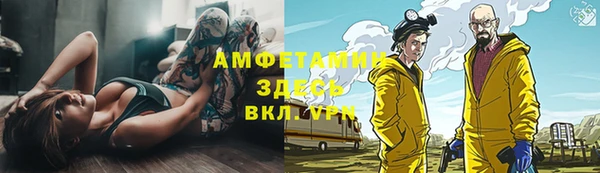 прущий лед Новозыбков