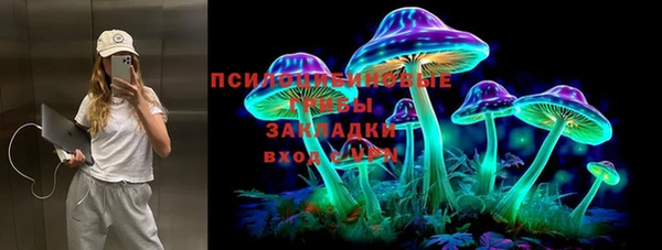 прущий лед Новозыбков