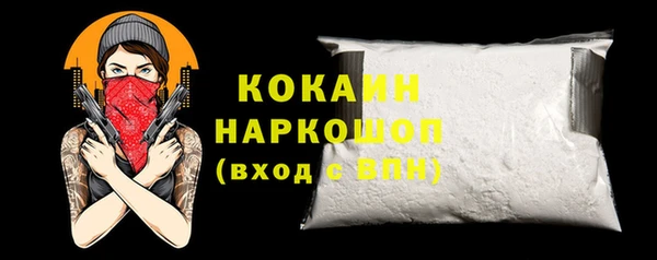 прущий лед Новозыбков