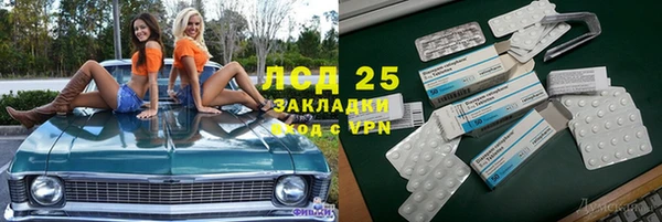 спайс Няндома