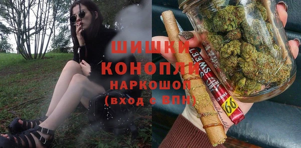 прущий лед Новозыбков