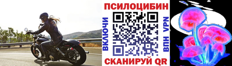 сколько стоит  Кадников  Псилоцибиновые грибы мицелий 