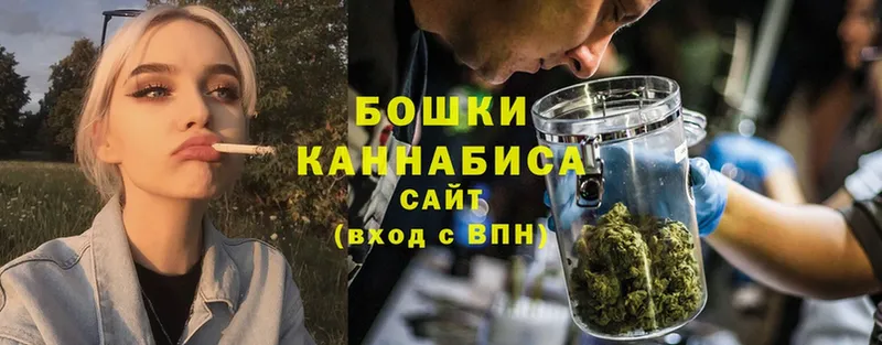 Бошки марихуана THC 21%  наркота  Кадников 